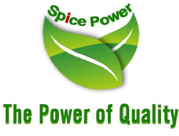 Finish logo spice power with slogan1